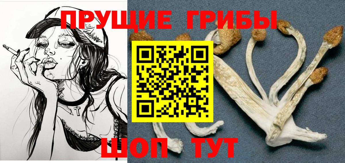 Верхний Уфалей  Галлюциногенные грибы мицелий  Вход с VPN 